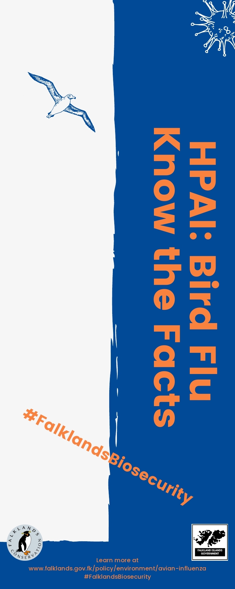 Bird_Flu_Infographic.pdf_page_3.jpg