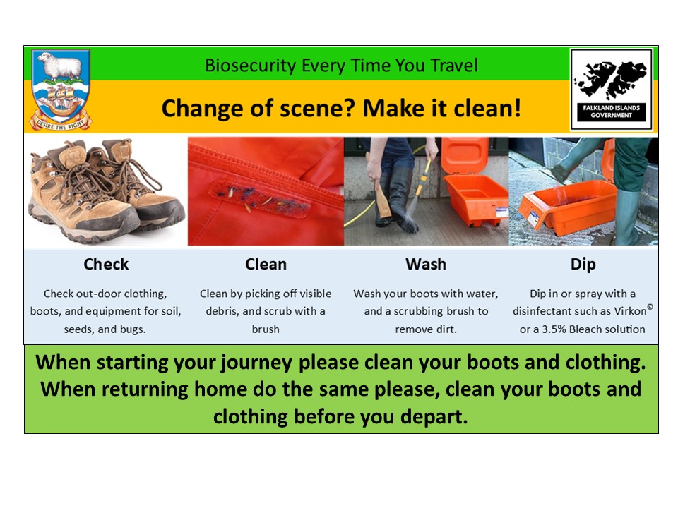 CheckCleanWashDip
