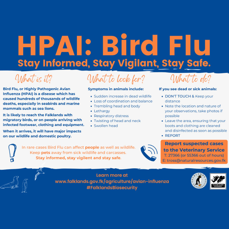 Avian Influenza (Bird flu)