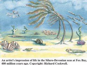 Fig.12. Life in the Devonian seas Copyright Richard Cockwell