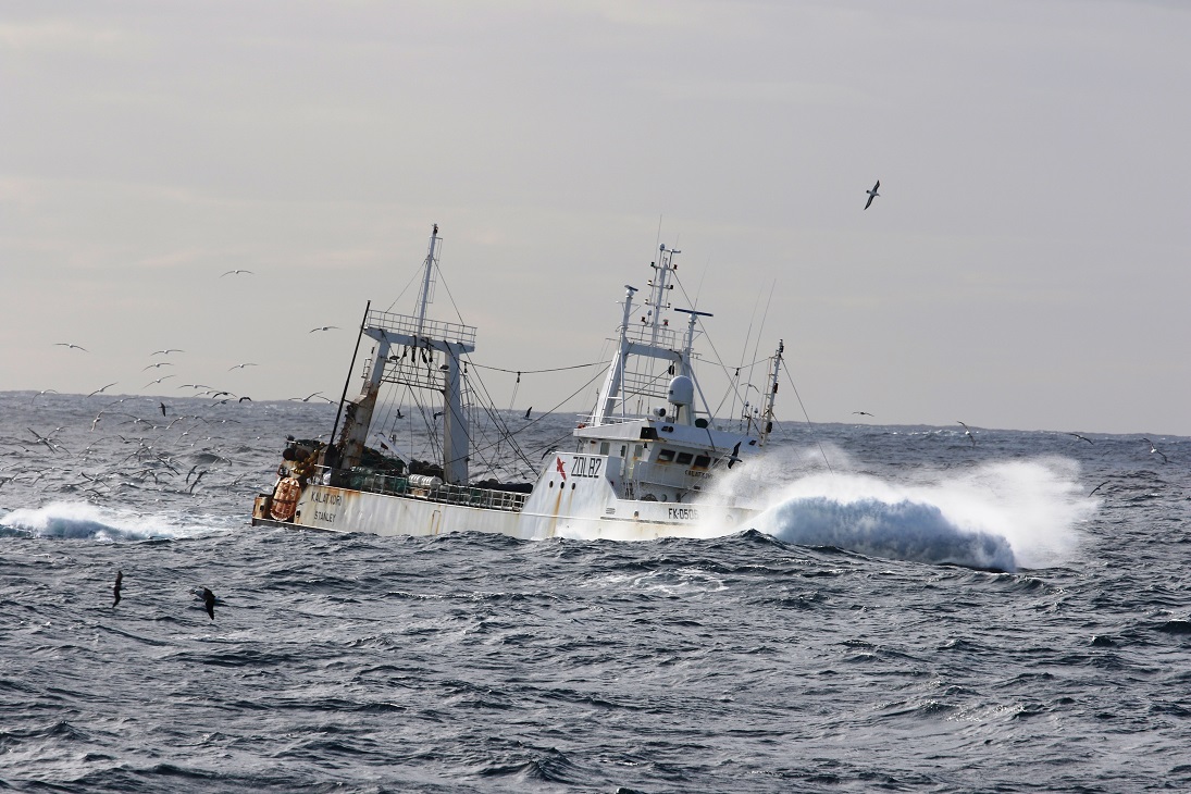Boat1